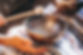 AdobeStock_402551013.jpeg